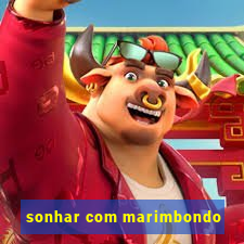 sonhar com marimbondo